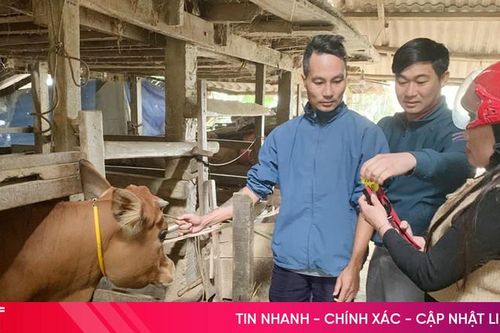 Phúc Trạch hỗ trợ hơn 516 triệu đồng giúp người nghèo phát triển kinh tế