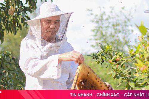 Nghị lực của ông Học