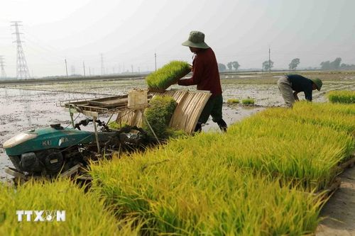 Hà Nội sẵn sàng cho đợt lấy nước đổ ải vụ Đông Xuân năm 2026
