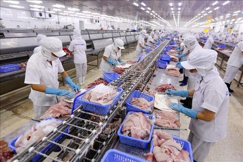 Theo dòng thời sự: Lá phiếu tín nhiệm cho Việt Nam