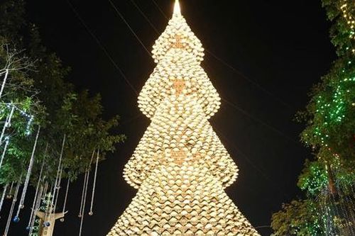 Cây thông Noel nón lá cao 35m 'gây sốt' mùa Giáng sinh ở Đồng Nai