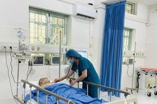 Nhập viện cấp cứu vì ngộ độc củ ấu tàu
