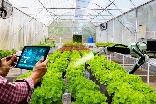 Thanh Hóa đẩy mạnh thu hút dòng vốn nông nghiệp công nghệ cao