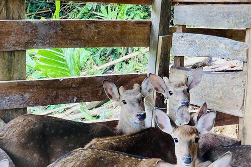 Phát triển mô hình kinh tế mới ở miền núi