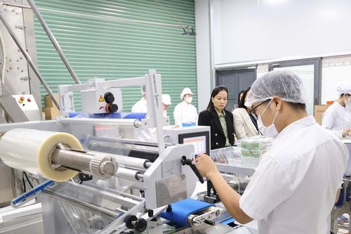 Đà Nẵng nghiệm thu, bàn giao máy móc khuyến công cho 4 doanh nghiệp