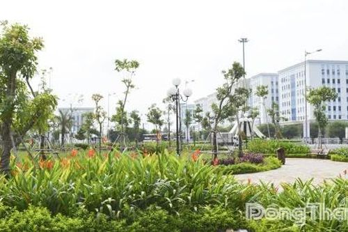 Đồng Tháp: Nâng cao ý thức bảo vệ môi trường