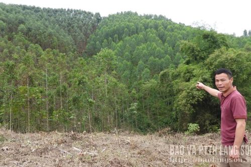 Từ điểm nóng thành điểm sáng