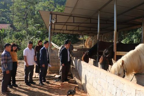 Bước chuyển giảm nghèo