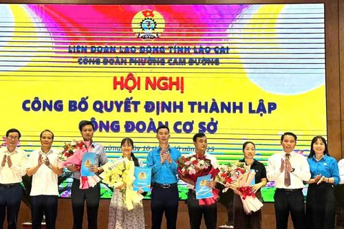 Thành lập mới 138 công đoàn cơ sở