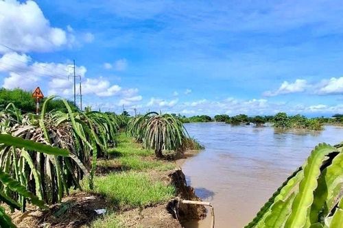 Cấp bách phòng, chống lũ quét, sạt lở đất ven sông Lũy