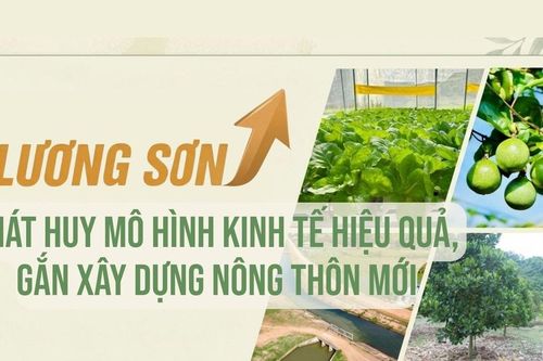 Lương Sơn phát huy mô hình kinh tế hiệu quả, gắn xây dựng nông thôn mới