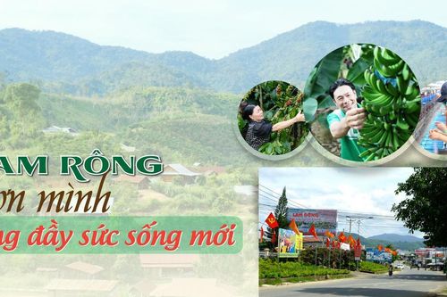 Đam Rông vươn mình căng đầy sức sống mới