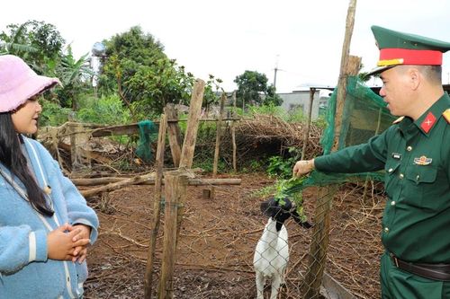 'Thế trận lòng dân' từ những mô hình sinh kế bền vững