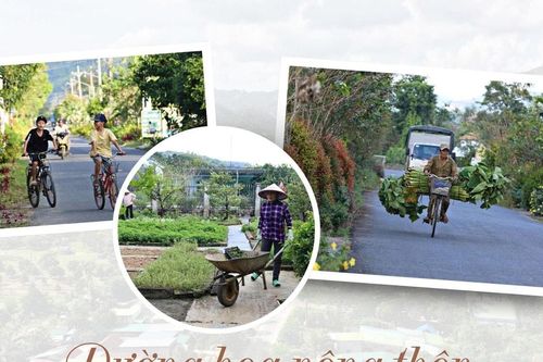 Đường hoa nông thôn - Nét chấm phá yên bình ở vùng quê Đạ Tẻh