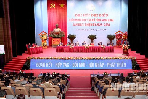 Phiên thứ nhất Đại hội đại biểu Liên minh HTX tỉnh lần thứ I, nhiệm kỳ 2025 - 2030