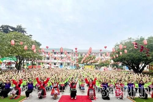 174 học sinh Trường Tiểu học Tân Dân đạt giải Toán tư duy Bebras 2025