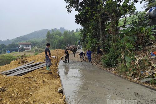 Đồng lòng bê tông hóa đường nông thôn