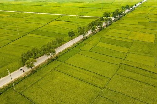 Công trình nông nghiệp Điện Biên: Quản lý dự án gắn với vùng sản xuất