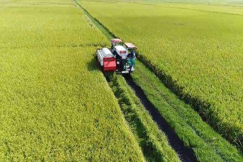 Tín dụng xanh: 'Chìa khóa' mở lối cho nông nghiệp bền vững