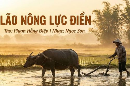 Lão nông lực điền: Hạnh phúc giản đơn qua thơ Phạm Hồng Điệp, nhạc Ngọc Sơn