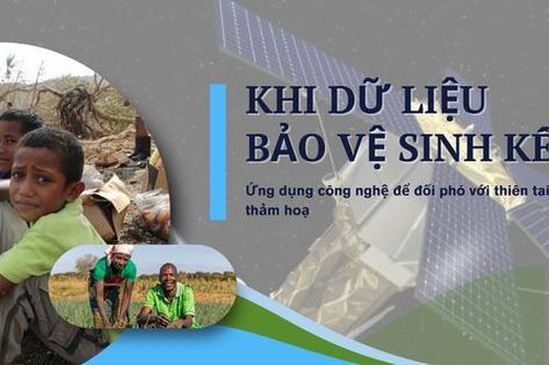Ứng dụng cơ sở dữ liệu và công nghệ số để nâng cao hiệu quả ứng phó với thiên tai