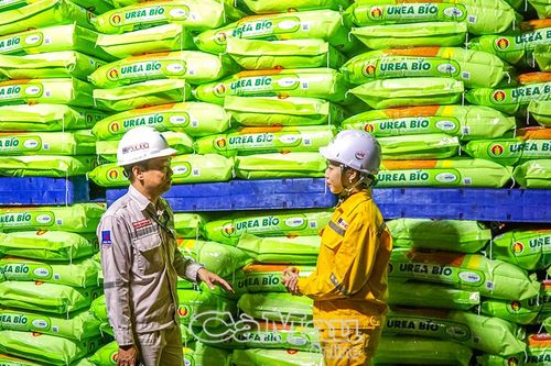 Kinh tế Cà Mau năm 2025 chuyển động tích cực
