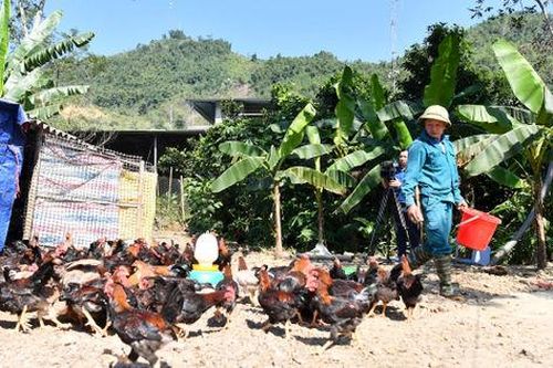 Sử dụng hiệu quả nguồn lực cho công tác giảm nghèo