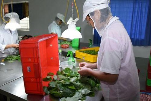 Nông sản Việt vững chỗ đứng, song cần gia tăng giá trị