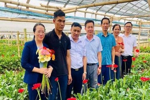 Từ ruộng lúa đến vùng hoa công nghệ cao: Tiềm năng phát triển bền vững, giảm nghèo lâu dài