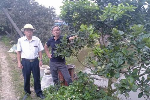 Hành trình xóa đói giảm nghèo của cựu chiến binh Nguyễn Văn Mười
