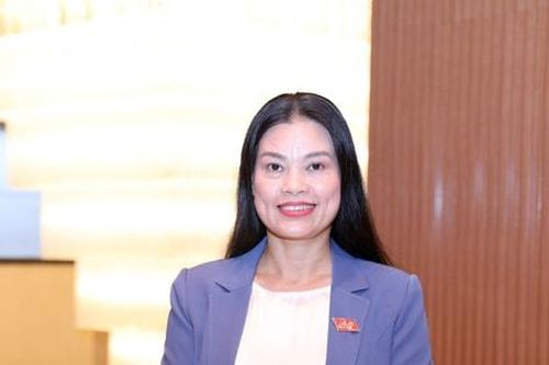 Đồng chí Bạch Liên Hương được giới thiệu để bầu giữ chức vụ Trưởng ban Văn hóa - Xã hội, HĐND thành phố