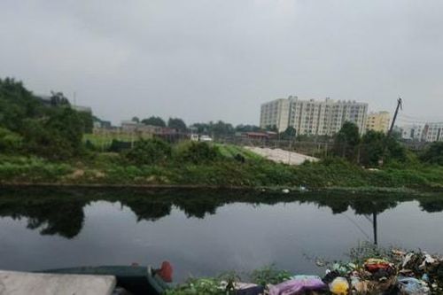 Cấp bách giải quyết ô nhiễm môi trường sông Pheo, phường Tây Tựu