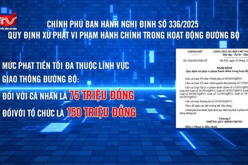 Xe ô tô trên 8 chỗ không dùng để kinh doanh taxi