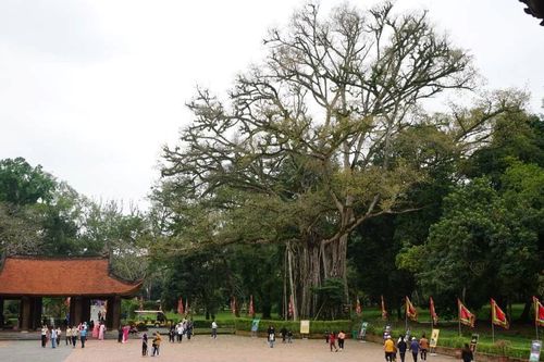 Khai quật khảo cổ Khu di tích quốc gia đặc biệt Lam Kinh