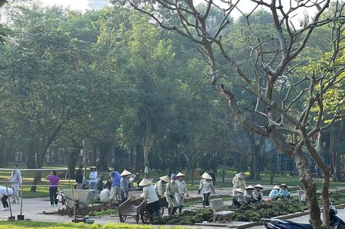 Hạ hàng rào, mở không gian công cộng