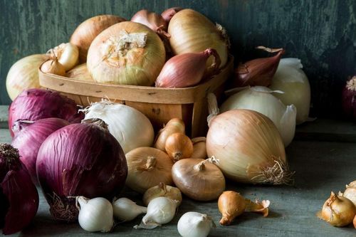 Thực phẩm gây hôi miệng, nên cẩn trọng khi ăn