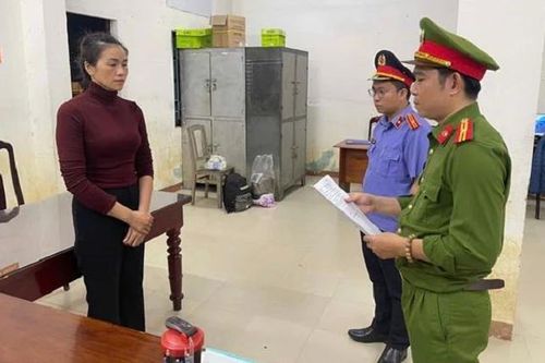 Khởi tố 'nữ quái' trộm 19 chỉ vàng của cô ruột