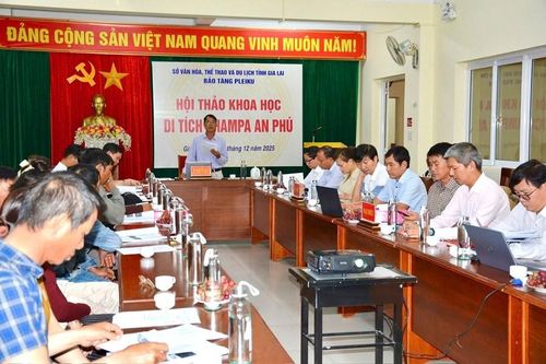 Gia Lai: Đề xuất xếp hạng Di tích Champa An Phú là di tích cấp tỉnh
