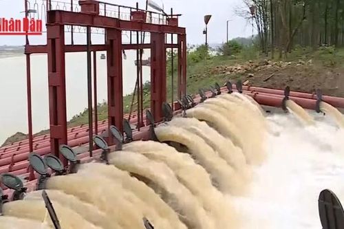Hà Nội sẵn sàng cho đợt lấy nước đổ ải vụ Đông Xuân năm 2026