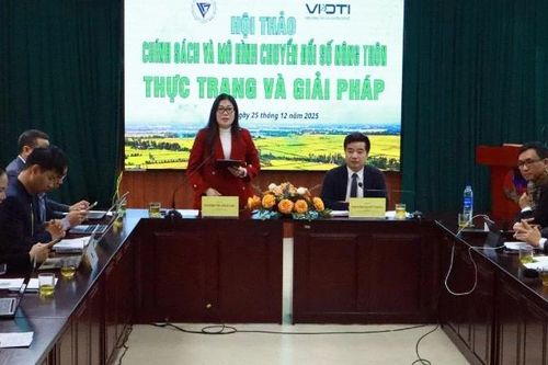 Hoàn thiện chính sách, thúc đẩy chuyển đổi số nông thôn theo hướng bao trùm và bền vững