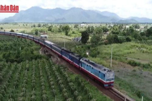 Hơn 140.000 vé tàu Tết Nguyên đán 2026 đã được bán