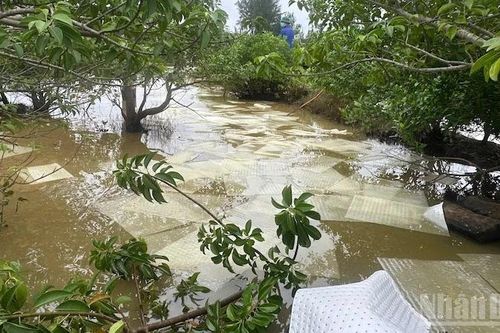 Quảng Ngãi: Sự cố tràn dầu DO gây ô nhiễm môi trường nghiêm trọng