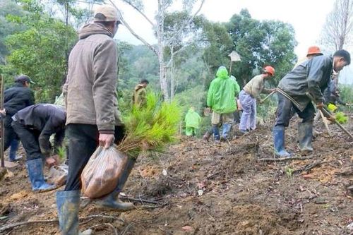 Xã Măng Đen xử phạt 4 trường hợp chiếm đất rừng sản xuất trái phép