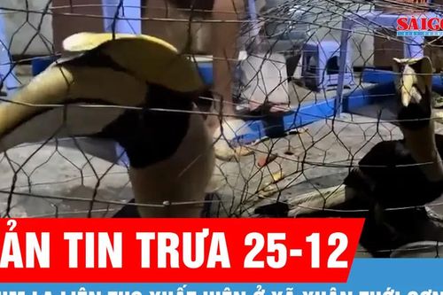 Bản tin trưa 25-12: Chim lạ liên tục xuất hiện ở xã Xuân Thới Sơn