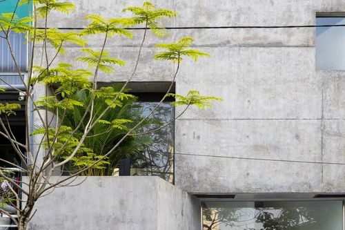 Nhà bê tông thô mộc kết nối ánh sáng và thông gió