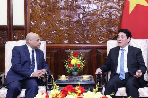 Màu xanh tốt tươi nở rộ trên miền đất quan hệ Việt Nam-Ai Cập