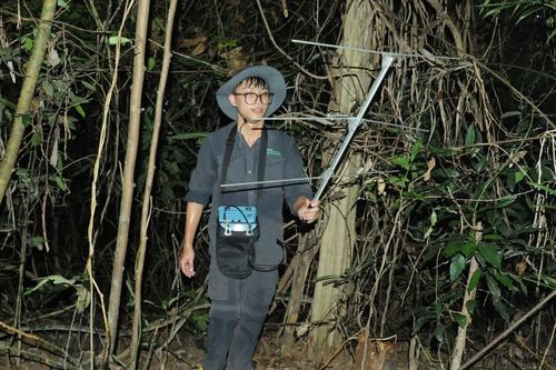Cần thúc đẩy ứng dụng AI, Drone, SMART trong bảo vệ rừng