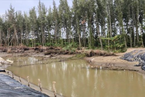 Sạt lở trải dài cả chục km bờ biển Vĩnh Long