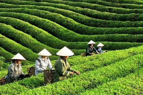 Phát động Giải báo chí Huỳnh Thúc Kháng lần thứ 2