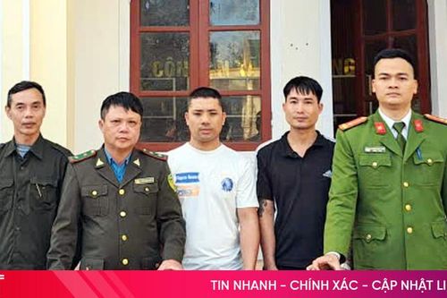 Bàn giao 2 cá thể rùa quý hiếm cho cơ quan chức năng
